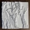 il_fullxfull.8270552564_tgm2 Topographic Trail Map in 3D